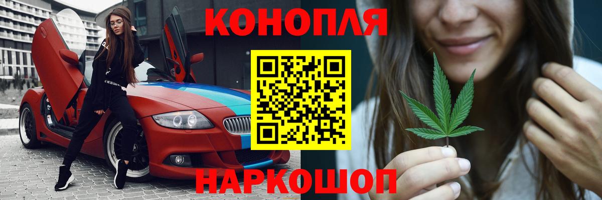 Канабис планчик Прохладный